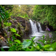 Maurice 2015 CE (1180)