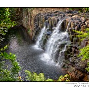 Maurice 2015 CE (1249)