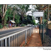 Maurice 2015 CE (179)