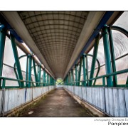 Maurice 2015 CE (209)