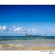 Maurice 2015 CE (24)