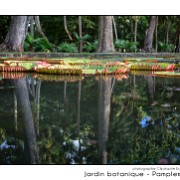 Maurice 2015 CE (261)