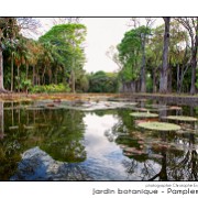 Maurice 2015 CE (270)