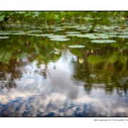 Maurice 2015 CE (279)