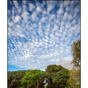 Maurice 2015 CE (287)