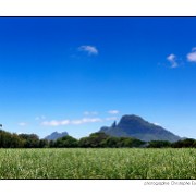 Maurice 2015 CE (55)