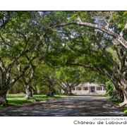 Maurice 2015 CE (651)