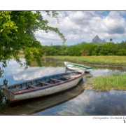 Maurice 2015 CE (680)