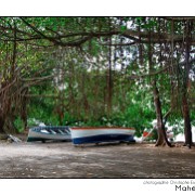 Maurice 2015 CE (765)