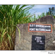 Maurice 2015 CE (799)