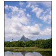 Maurice 2015 CE (80)