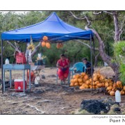 Maurice 2015 CE (849)