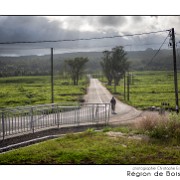 Maurice 2015 CE (938)