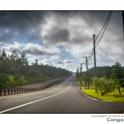 Maurice 2015 CE (947)