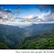 Maurice 2015 CE (953)