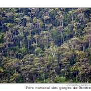 Maurice 2015 CE (958)