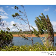 Maurice 2015 CE (984)